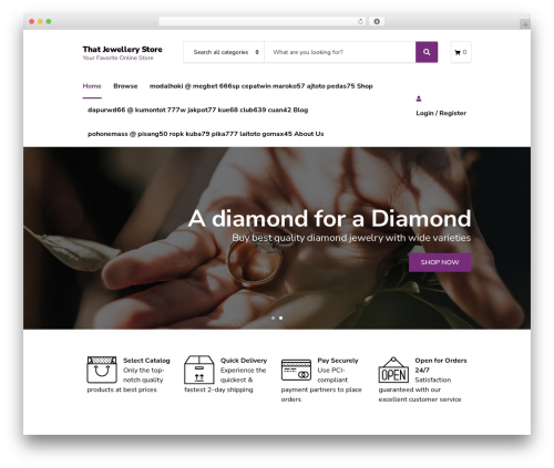 W2b custom functions WordPress plugin - thatjewellerystore.com