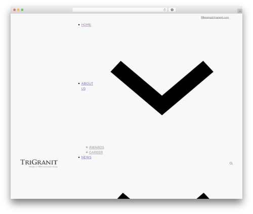 Bricks WordPress theme - trigranit.com