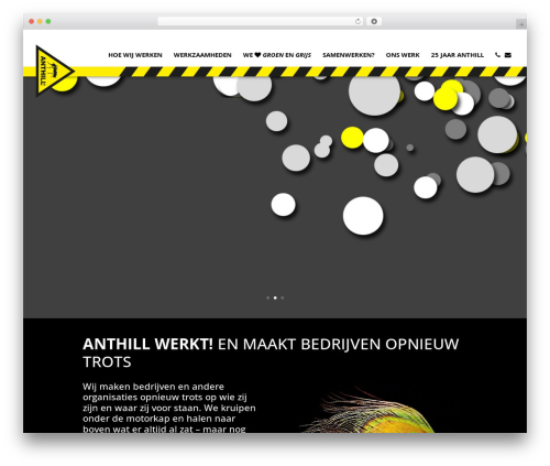 Divi WordPress theme - anthill.nl