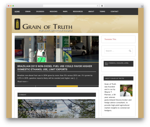 Dynamic News Lite theme free download - grainoftruth.com