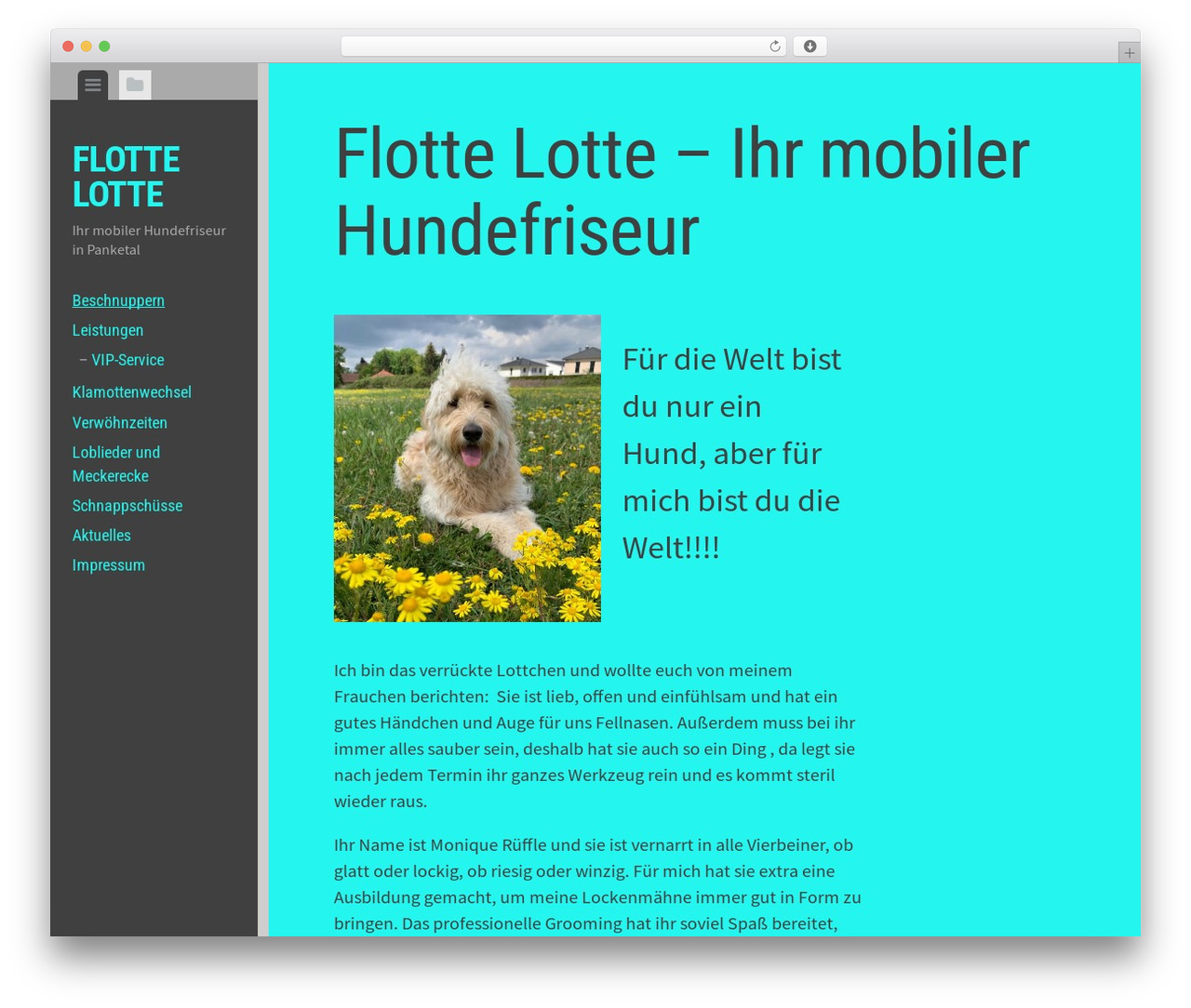 Editor - WordPress.com WordPress theme - flottelotte.dog