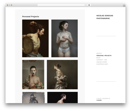 Kathy WP theme - nicolassenegas.com