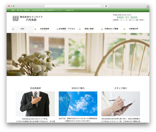 Lightning skin pale WordPress plugin - win-yatsushiro.com