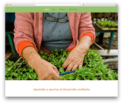 Video Player for YouTube (yt-player) free WordPress plugin - cubaresiliente.com