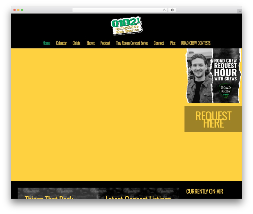 Wp tabs pro WordPress plugin - q1021.fm