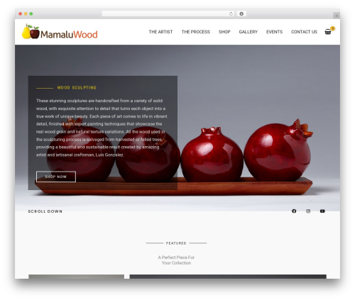 Wp hummingbird WordPress plugin - mamaluwood.com