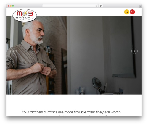 Pronto lead insights WordPress plugin - themagneticbutton.com