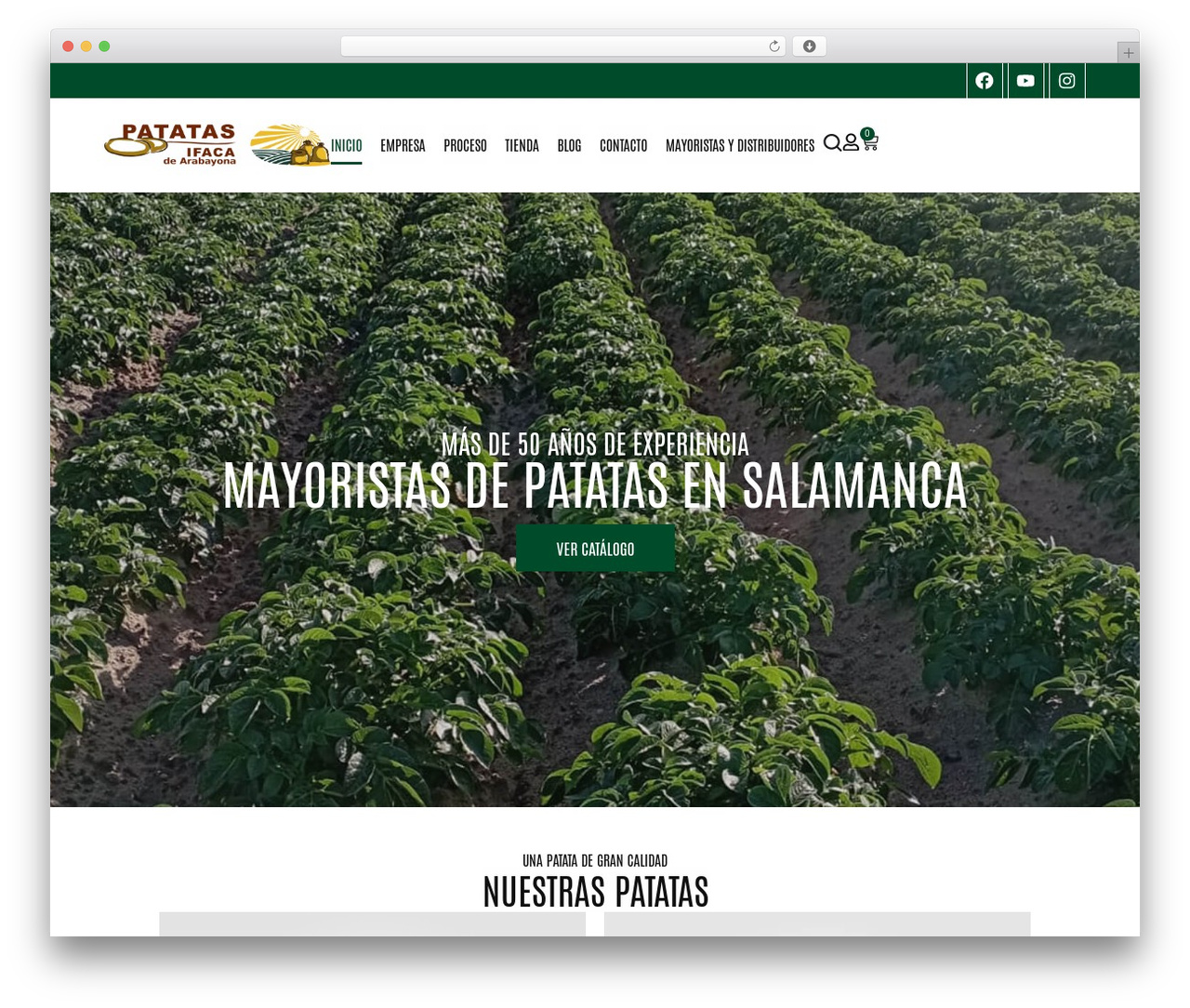 Hello Elementor WordPress theme - patatasifaca.com Hello Elementor WordPress theme - patatasifaca.com