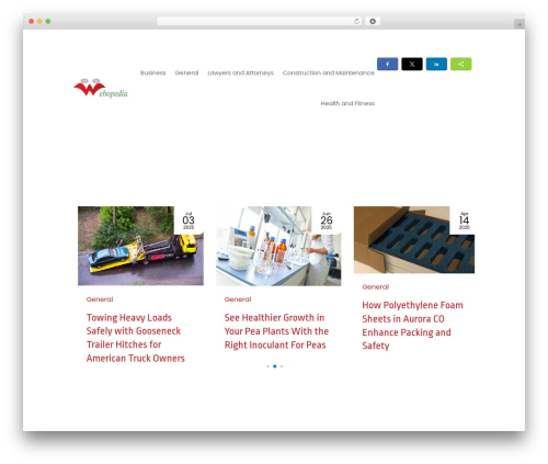 Theme WordPress Divi - webopedia.biz