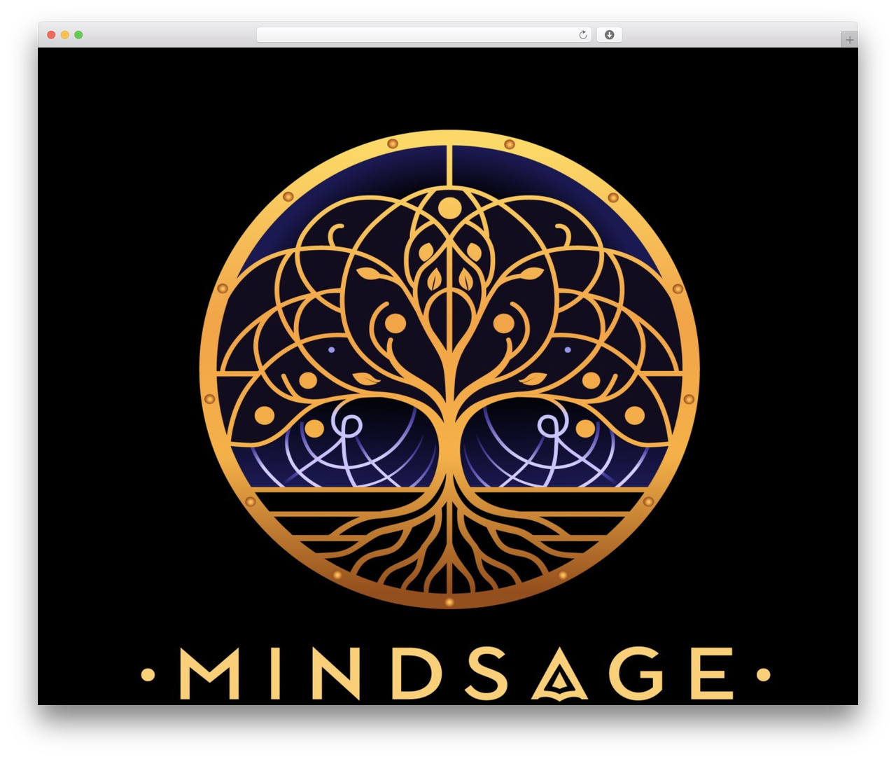 MasterStudy WordPress theme - mindsage.com