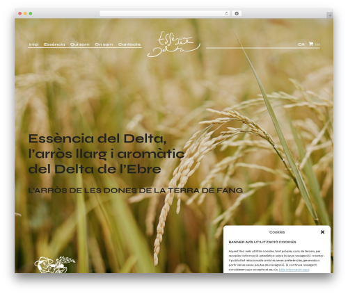 Better block editor WordPress plugin - arrosessenciadeldelta.com