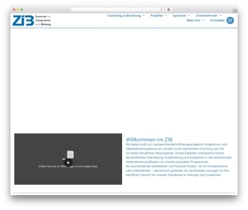 Pdf smart viewer for elementor WordPress plugin - zib-online.net