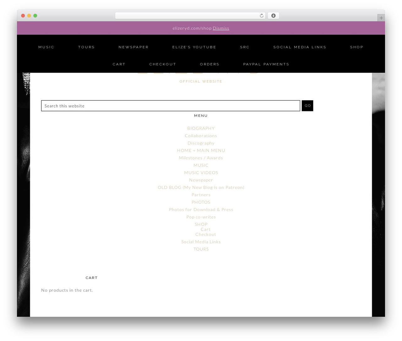 WordPress theme Chanel - elizeryd.com WordPress theme Chanel - elizeryd.com