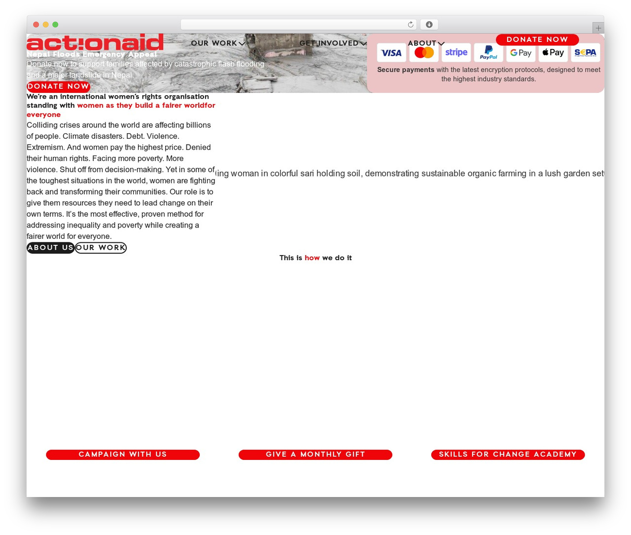 Hello Elementor theme WordPress - actionaid.ie Hello Elementor theme WordPress - actionaid.ie