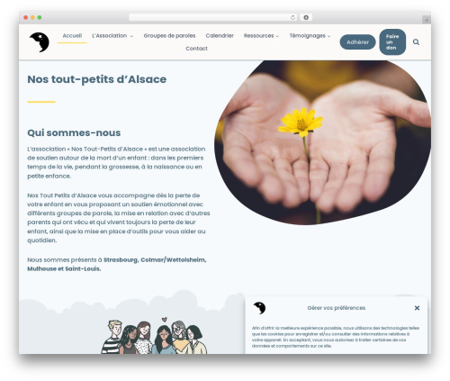 Kadence theme WordPress - nostoutpetitsdalsace.org