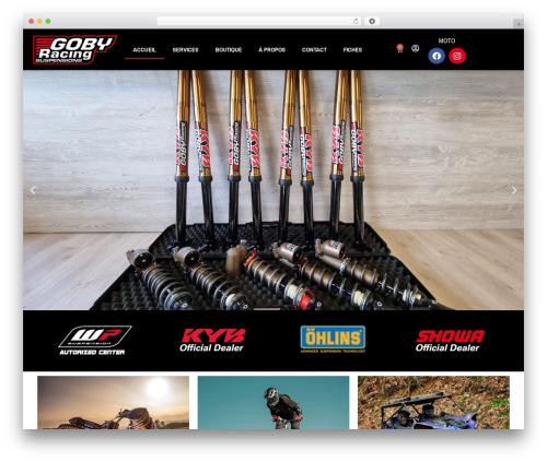 Theme WordPress Hello Elementor - gobyracing.com