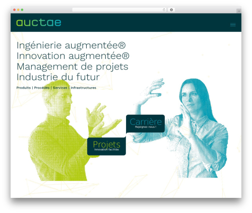 Auctae WordPress theme - auctae.ch