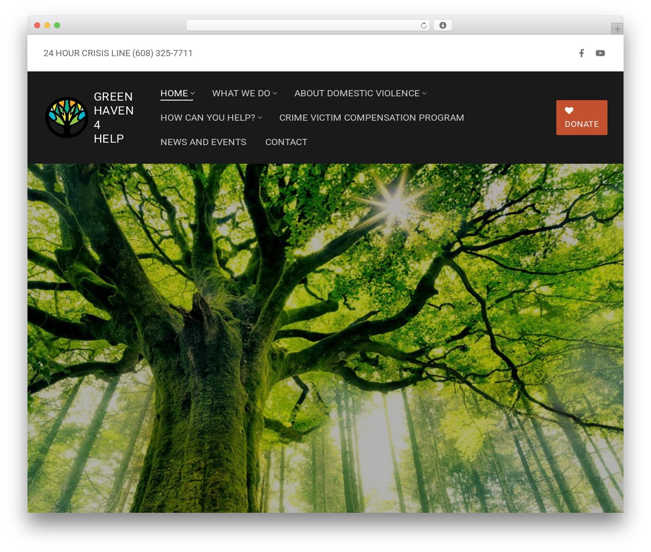 WordPress theme Customify - greenhaven4help.com WordPress theme Customify - greenhaven4help.com