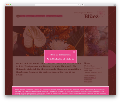 Create WordPress theme - blueez.ch