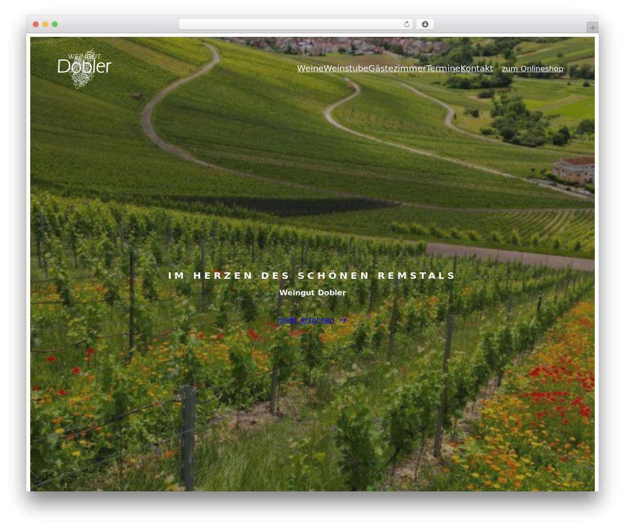 Theme WordPress Ona - weingut-dobler.de Theme WordPress Ona - weingut-dobler.de
