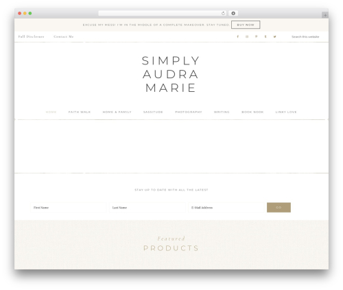 WordPress theme Refined Theme - audramsilva.com
