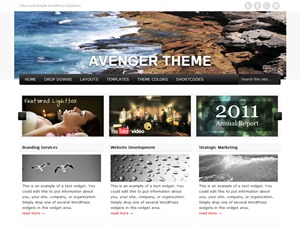 Avenger WordPress theme by Theme Weaver