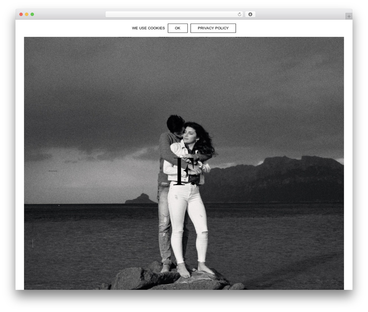 Como WordPress theme - frank-schettler.de