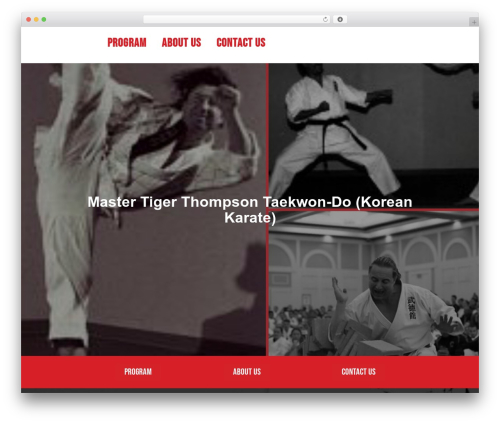 Elfsight slider cc WordPress plugin - thompsonstkd.com