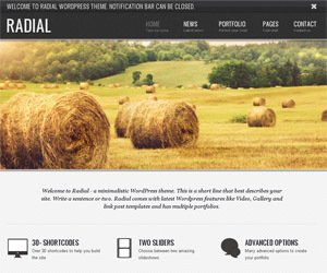 Radial WordPress blog theme by gljivec