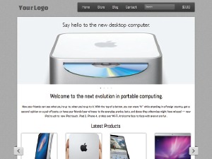 Storefront Echo WordPress ecommerce theme by Matt Jones