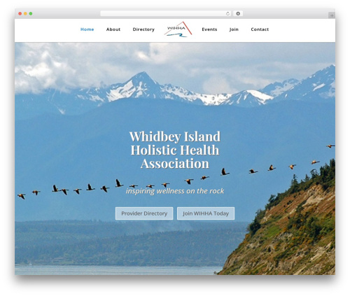 Theme WordPress Divi - wihha.com