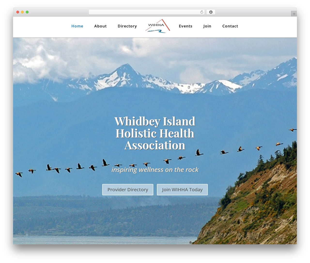 Theme WordPress Divi - wihha.com