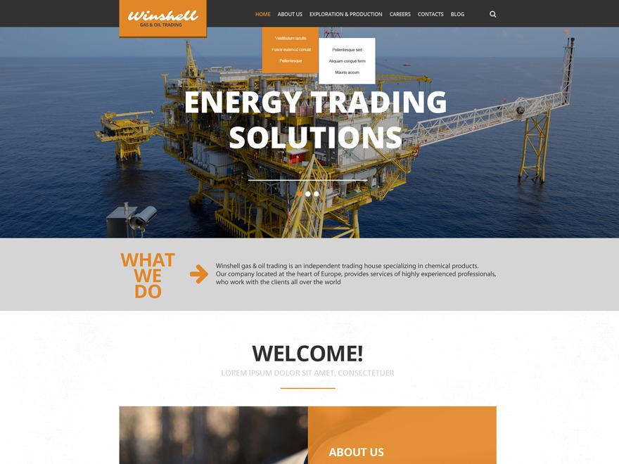 Theme WordPress theme52707
