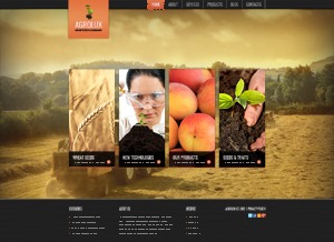 theme1690 theme WordPress by Template_Help.com