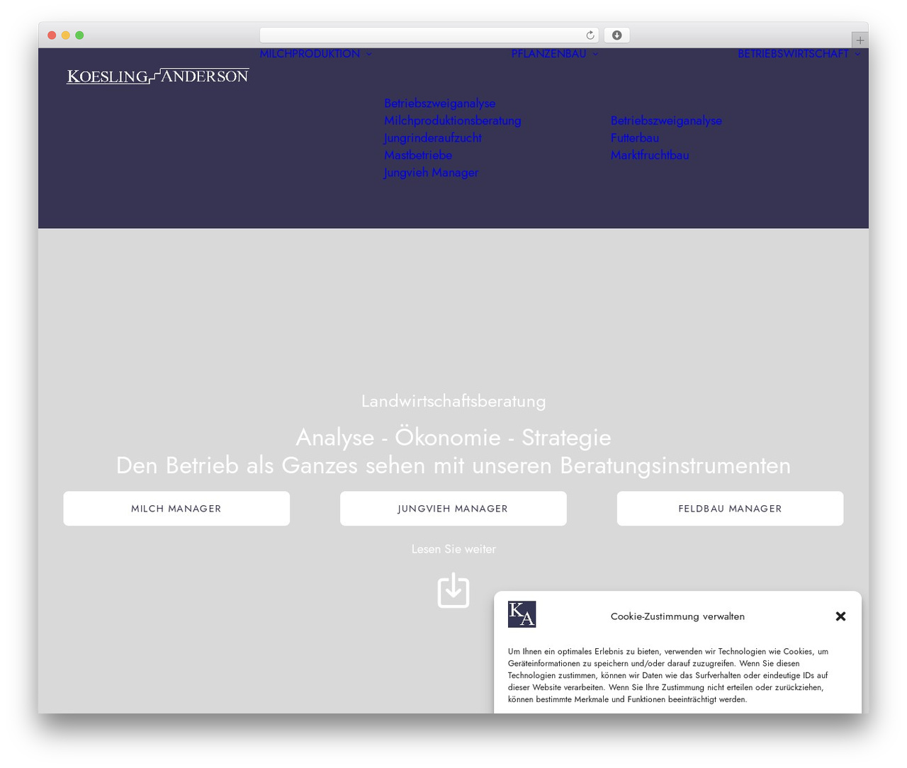 Uncode premium WordPress theme - koesling-anderson.de