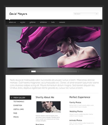 WordPress Theme 1298 WordPress theme