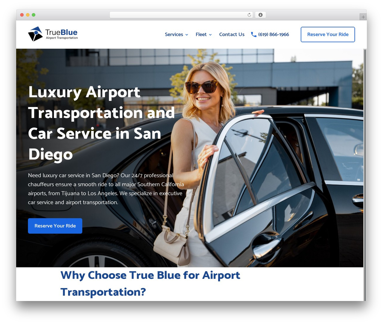 WordPress theme Divi - truebluetransportation.com