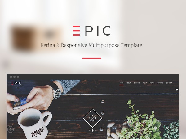 WordPress theme EPIC Jellythemes