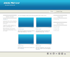 WordPress theme WP Local Pro by Rapid Crush, Inc.