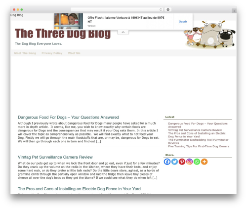 Catalyst best WordPress theme - thethreedogblog.com
