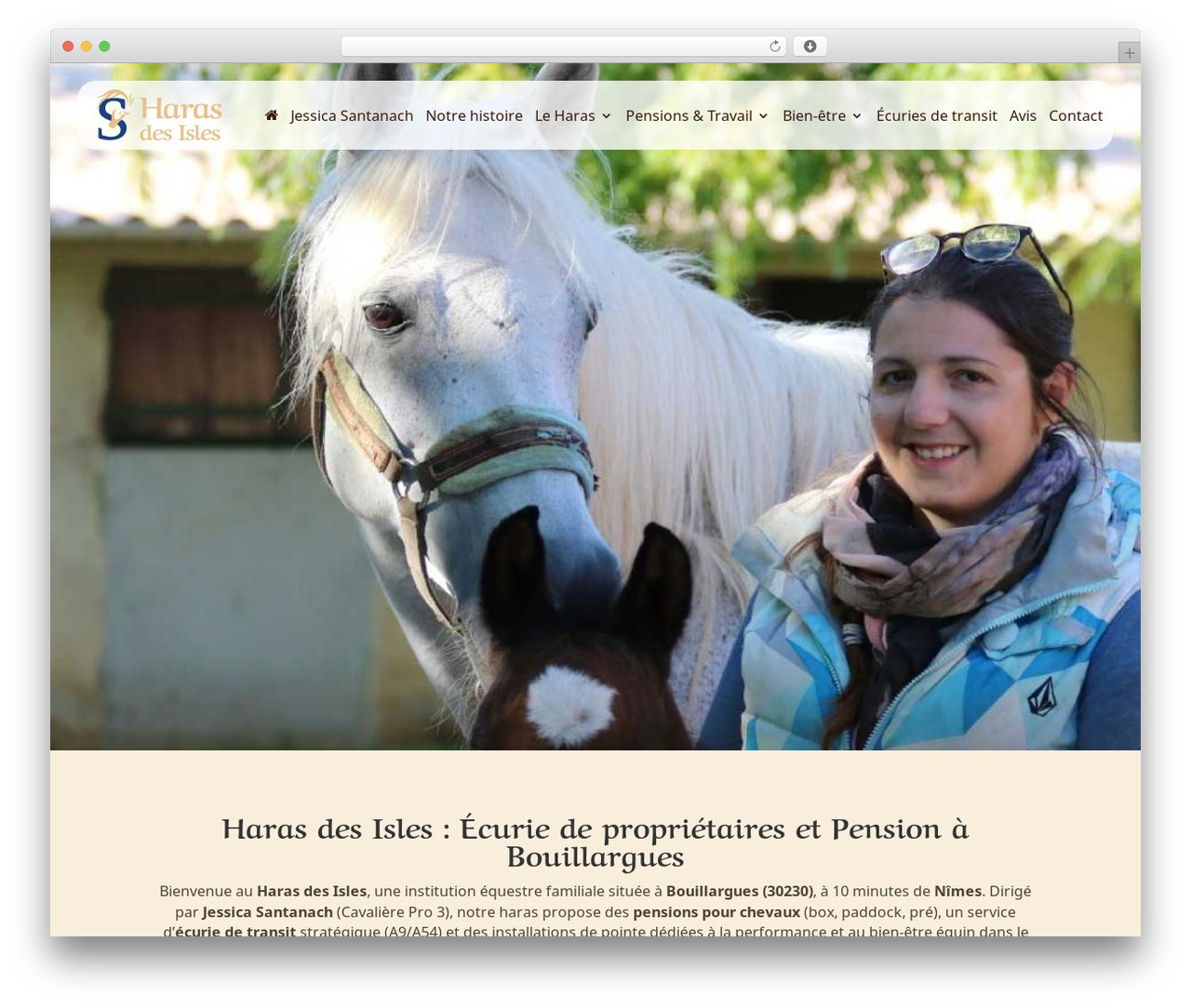 Divi top WordPress theme - harasdesisles.com Divi top WordPress theme - harasdesisles.com