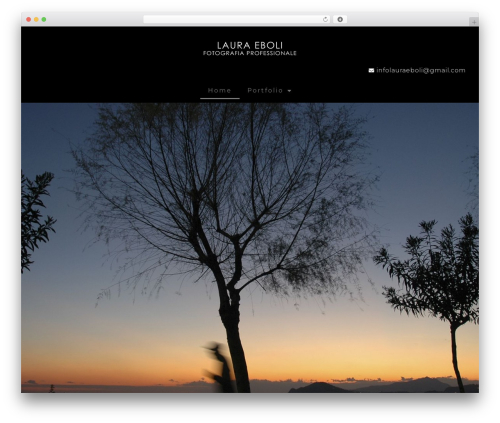 Photo Protect (photo-protect) free WordPress plugin - lauraeboli.com