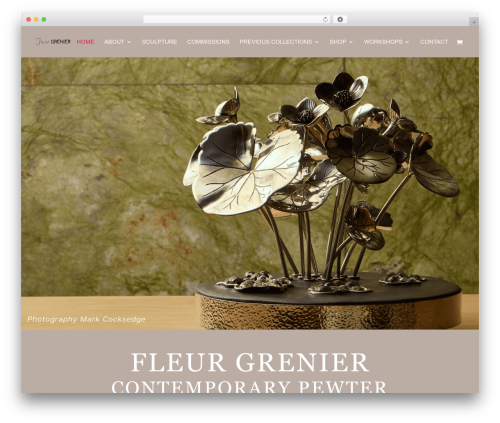 Theme WordPress Divi - fleurgrenier.co.uk