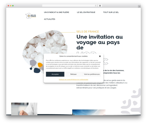 Theme WordPress Divi - www.selsdefrance.org