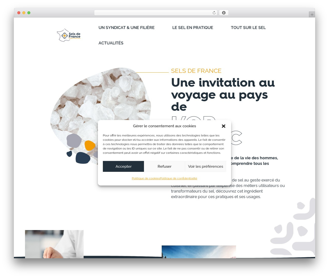 Theme WordPress Divi - www.selsdefrance.org Theme WordPress Divi - www.selsdefrance.org