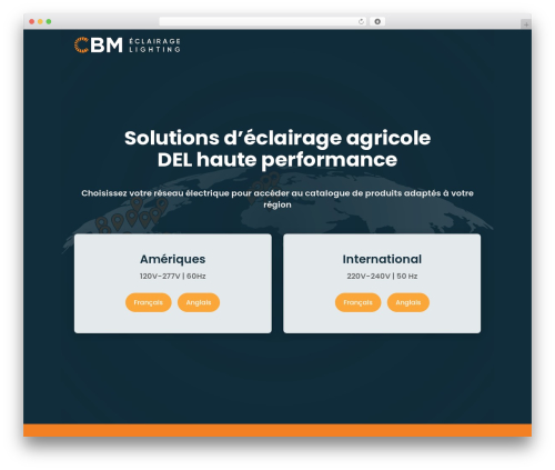Divi dynamic helper WordPress plugin - www.eclairagecbm.com