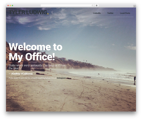 Simple instagram WordPress plugin - tylerludwig.com
