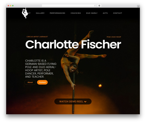 Arabesque core WordPress plugin - charlyfsr.de