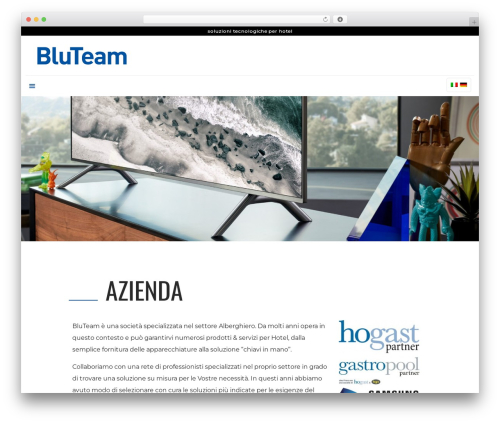 Tema WP theme - bluteamsrl.com