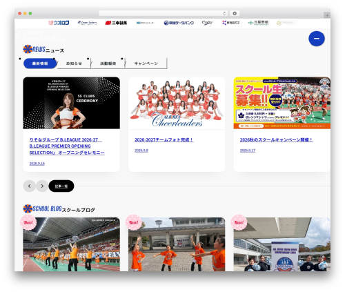 Feeds for tiktok WordPress plugin - albirex-cheerleaders.com
